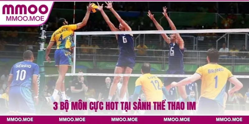Thể thao IM tại MMOO - Thiên đường đặt cược uy tín 4 3 bộ môn cực hot tại sảnh Thể thao IM