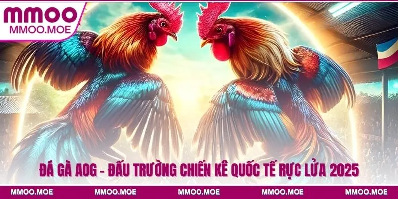 Đá gà AOG - Đấu trường chiến kê quốc tế rực lửa 2026 1 Đá Gà AOG - Đấu Trường Chiến Kê Quốc Tế Rực Lửa 2025