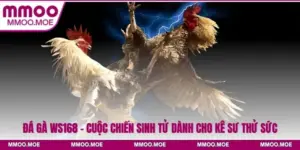 Đá Gà Ws168 - Cuộc Chiến Sinh Tử Dành Cho Kê Sư Thử Sức